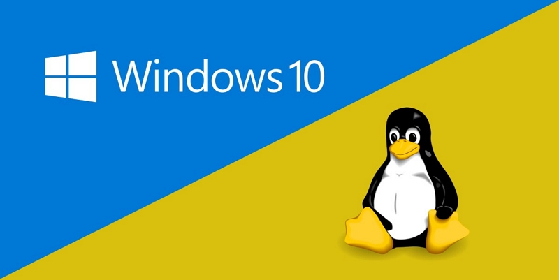 win_linux.jpg